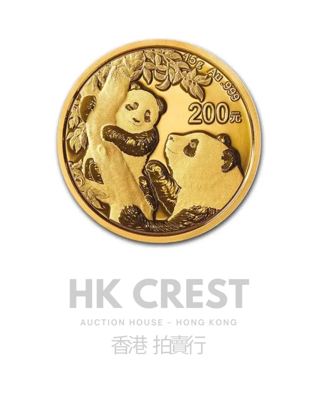 Chinese Gold Panda, 2005, 15 g, Au 999 fine gold, denomination RMB 200