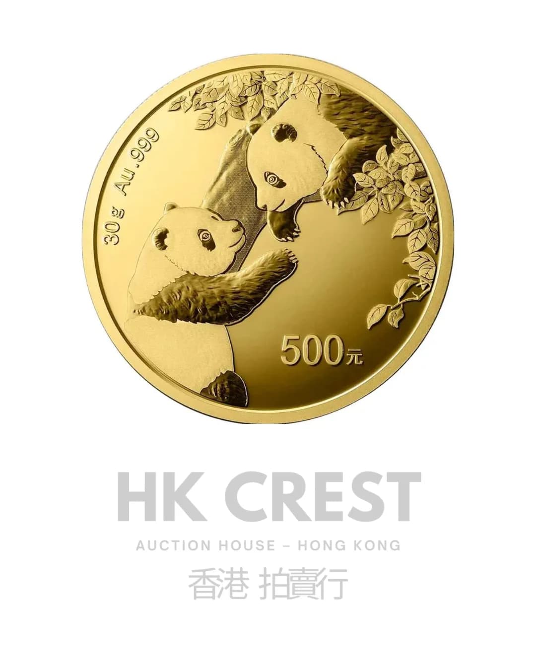 Chinese Gold Panda, 2023, 30 g, Au 999 fine gold, denomination RMB 500