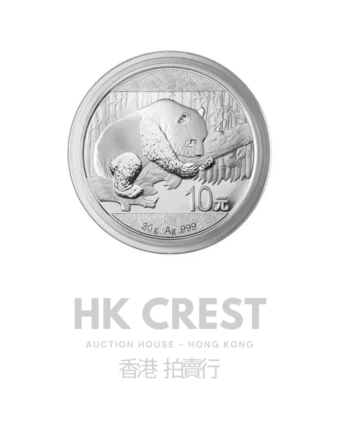 Chinese Silver Panda, 2019, 30 g, Ag 999 fine silver, denomination RMB 10