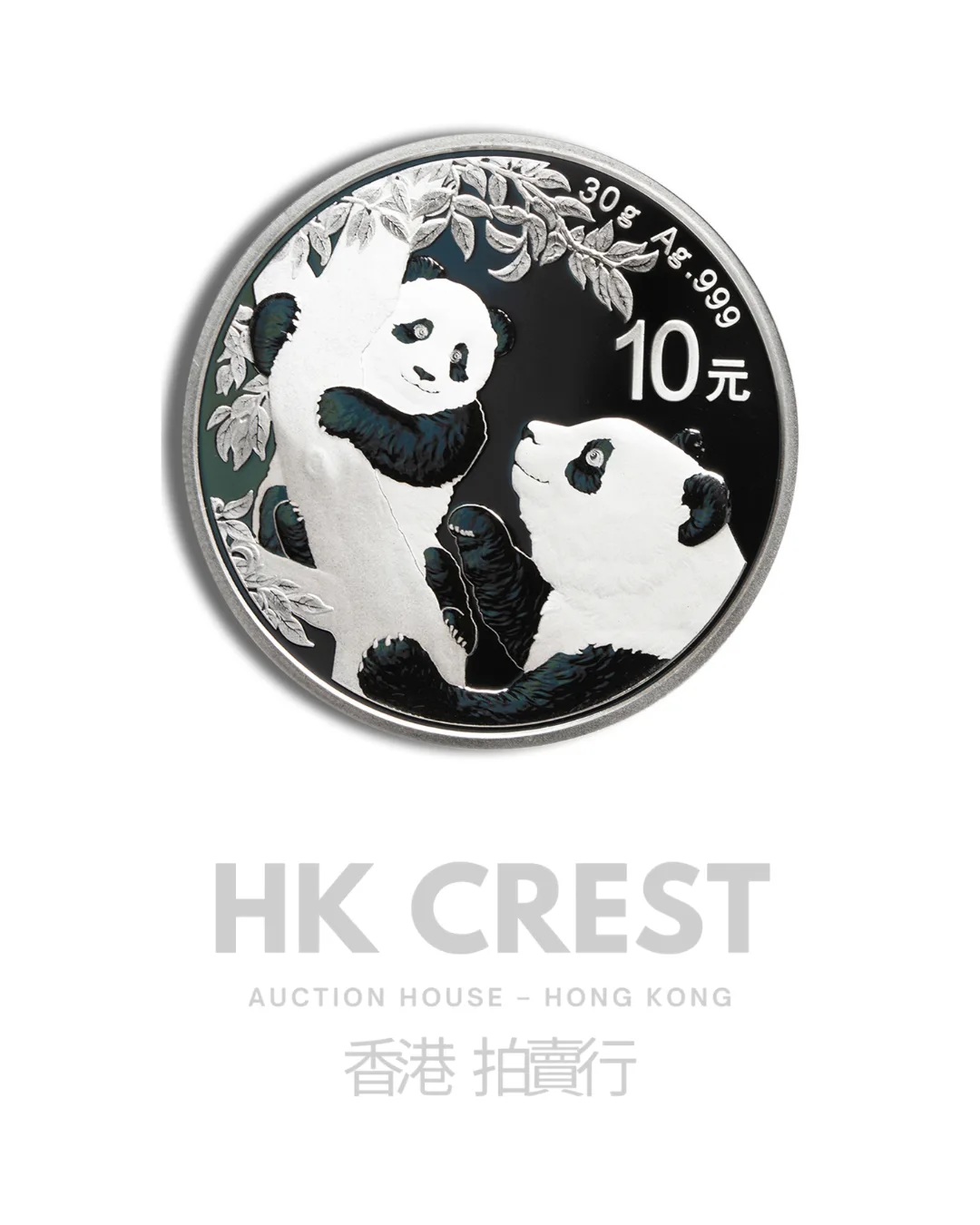Chinese Silver Panda, 2021, 30 g, Ag 999 fine silver, denomination RMB 10