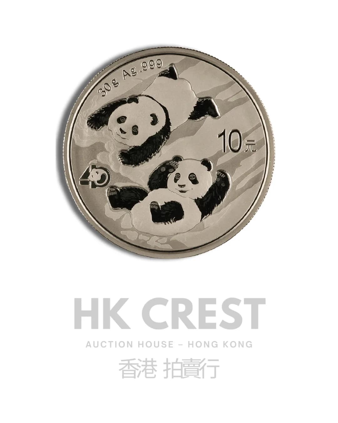 Chinese Silver Panda, 2022, 30 g, Ag 999 fine silver, denomination RMB 10