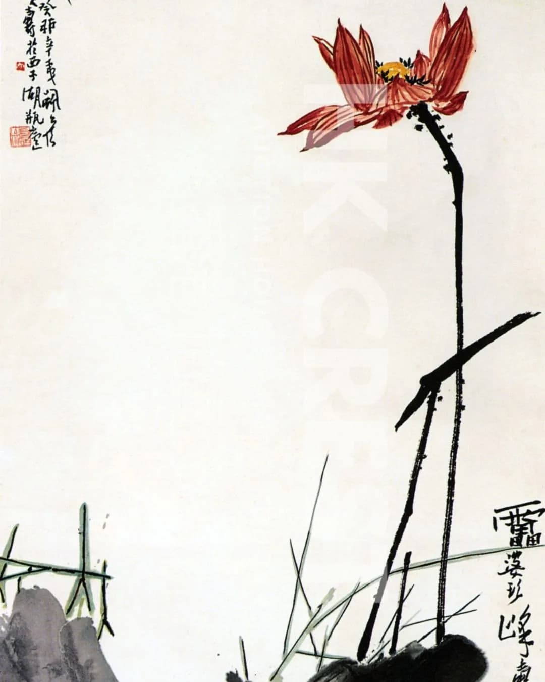 After Pan Tianshou — Lotus and Rock