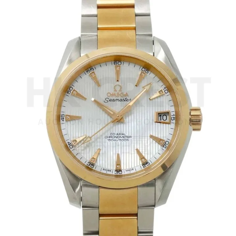 Omega Seamaster Aqua Terra Watch