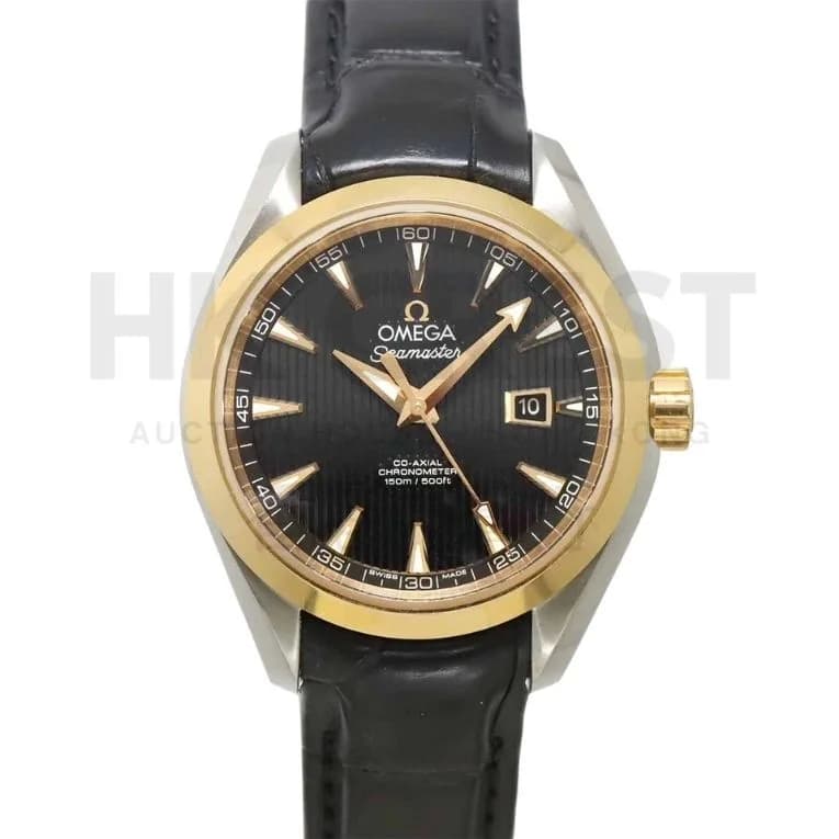 Omega Seamaster Aqua Terra Watch