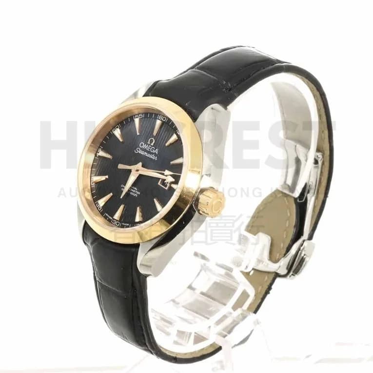 Omega Seamaster Aqua Terra Watch — 2