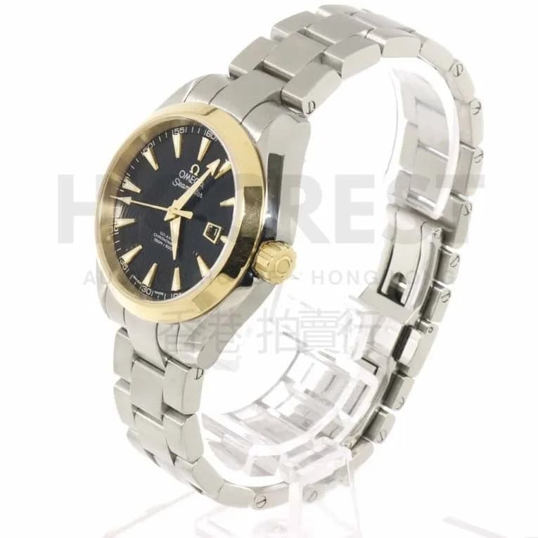 Omega Seamaster Aqua Terra Co-Axial Watch — 2