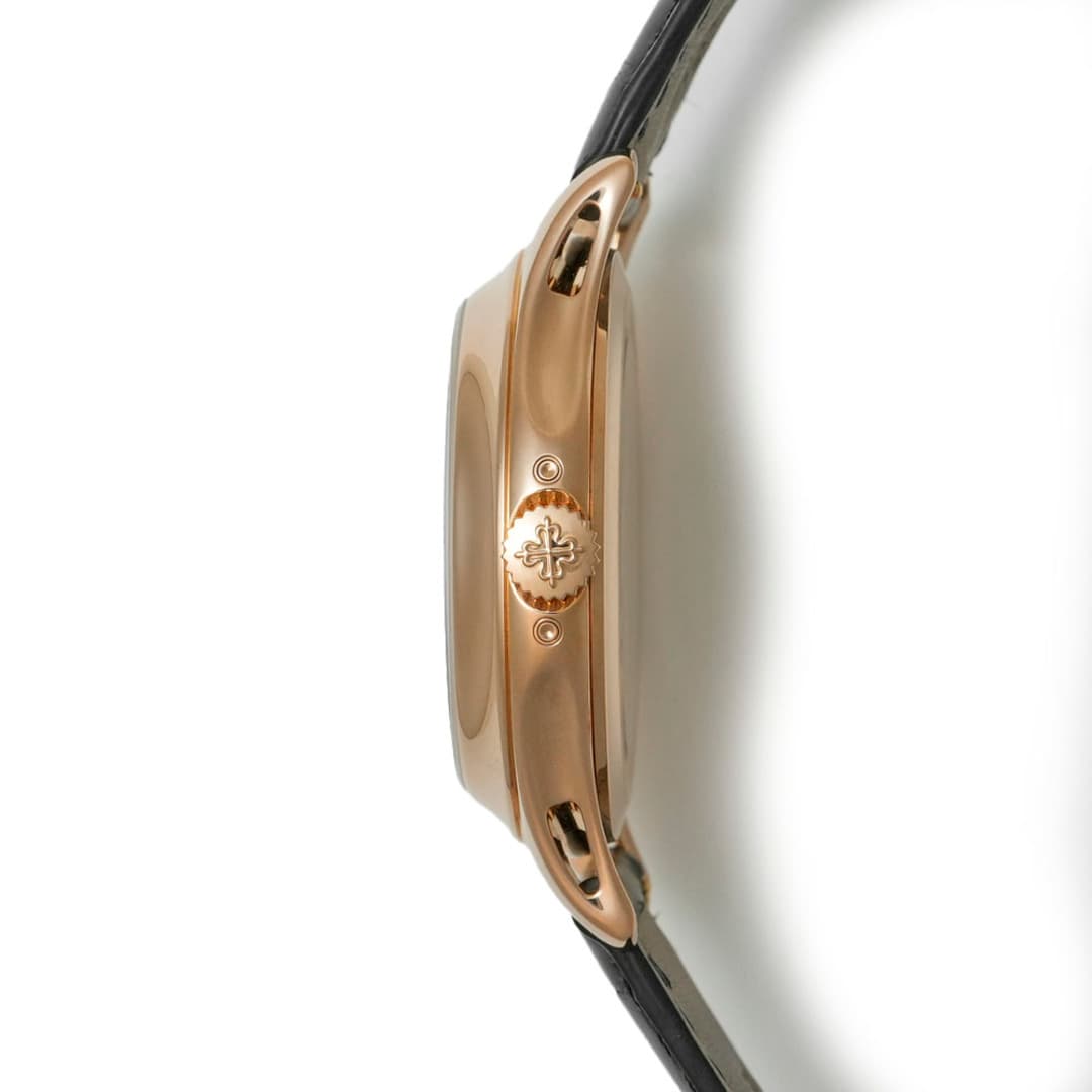 Patek Philippe Complications Calendrier Annuel — 6