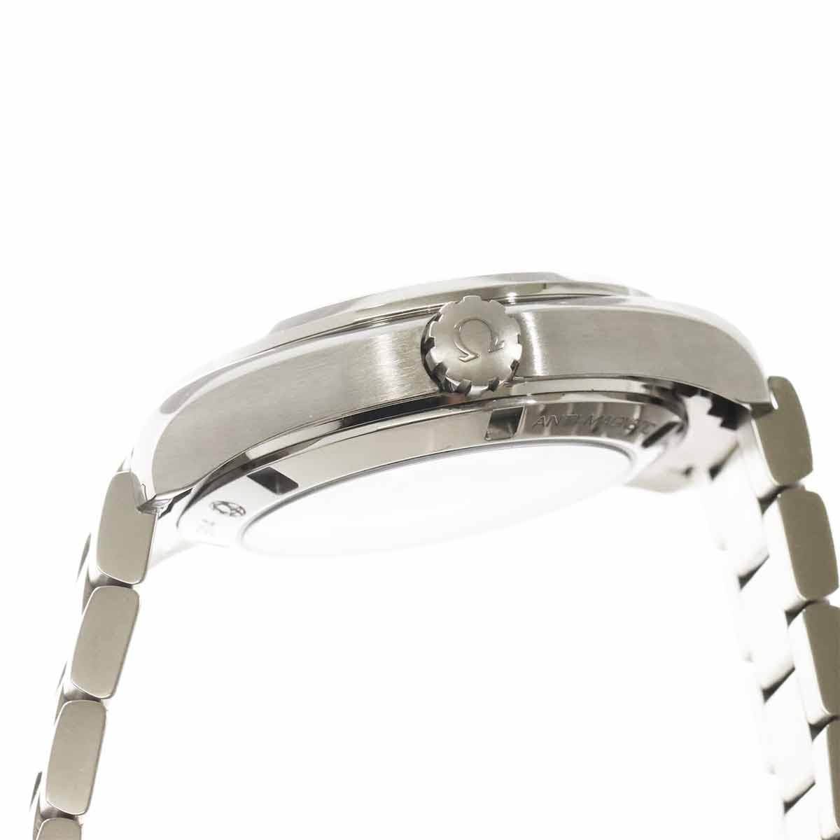 Omega Seamaster Aqua Terra GoodPlanet — 6