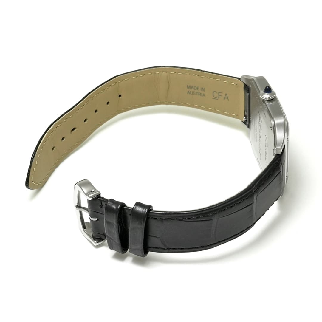Cartier Santos Dumont — 5