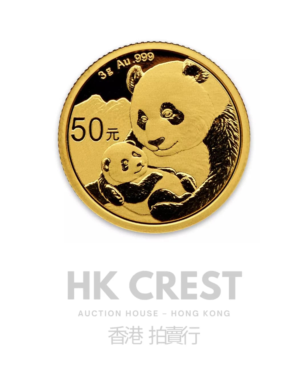 Chinese Gold Panda, 2019, 3 g, Au 999 fine gold, denomination RMB 50