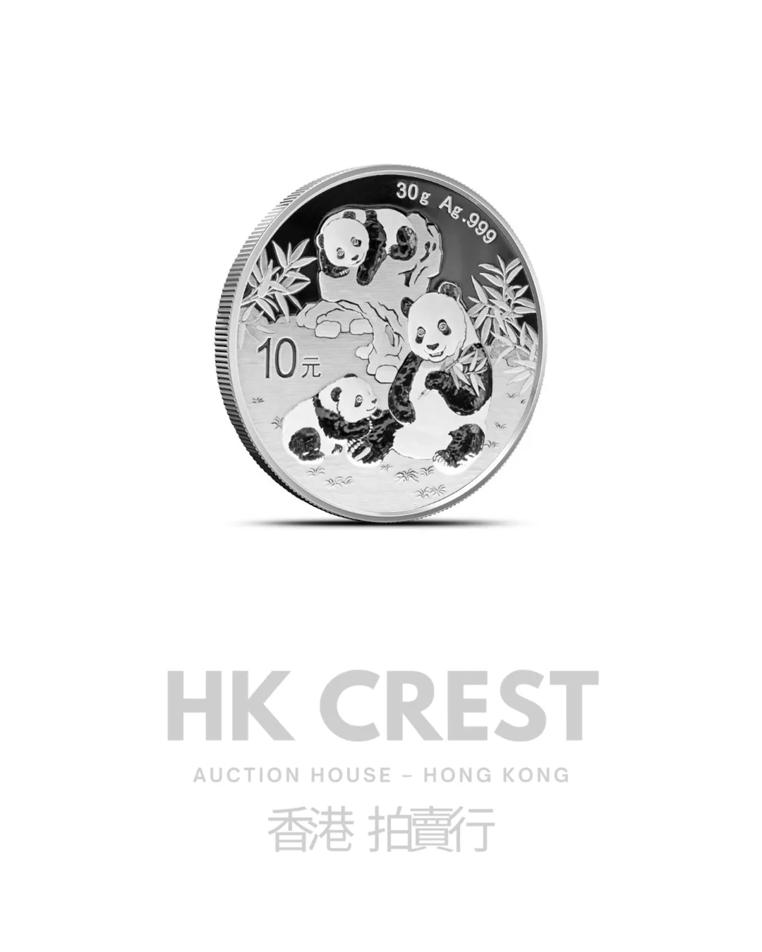 Chinese Silver Panda, 2025, 30 g, Ag 999 fine silver, denomination RMB 10